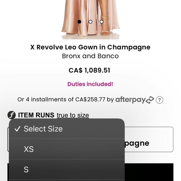 Bronx and Banco Leo Champagne Gown (size 10) - Picture 7 of 8